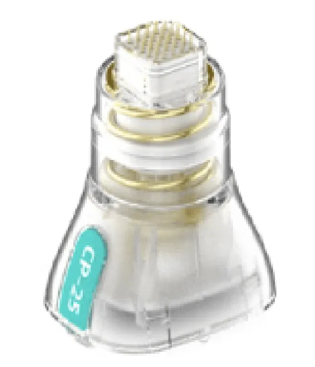 CPチップの写真